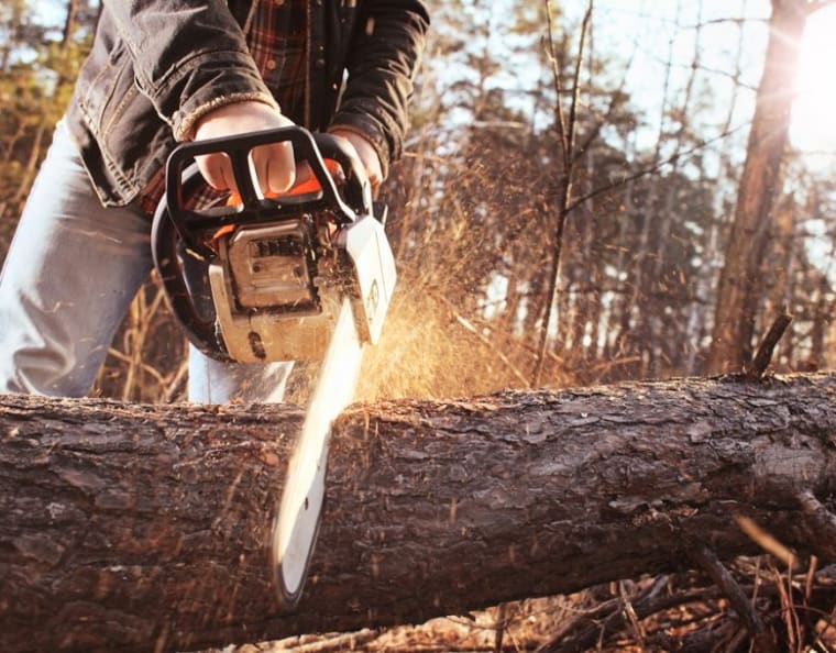 Going Wild | Discover The Best 3 Chainsaws Of 2019 | SMP