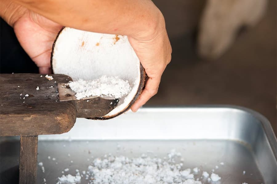 How To Open A Coconut? Survival Life Hacks 1